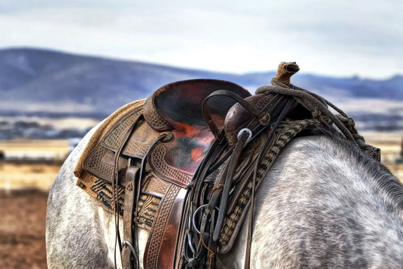 MONTA WESTERN