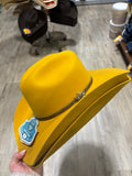 Cappello western  BULLHIDE HATS