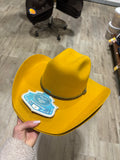 Cappello western  BULLHIDE HATS