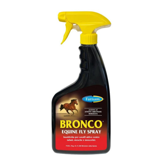 Bronco